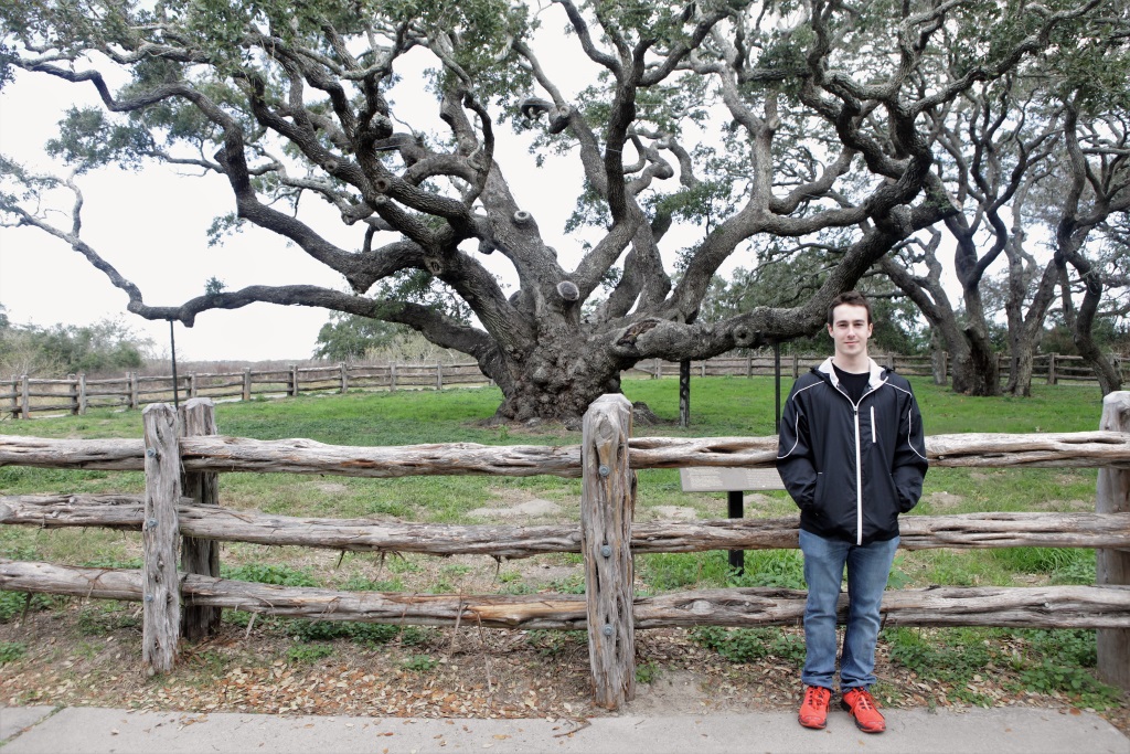 Aidan and The Big Tree
